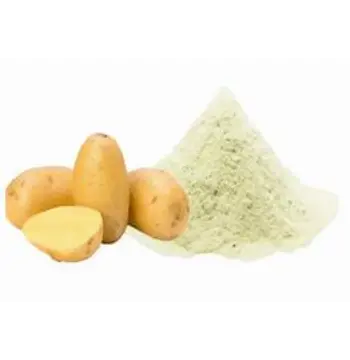 Fresh Potato Powder